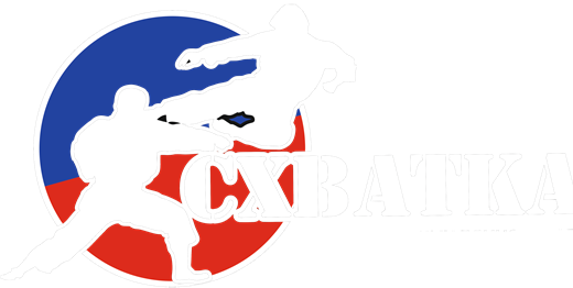 Клуб единоборств «Схватка» — логотип: силуэты двух бойцов на сине-красном круге и надпись «Схватка»